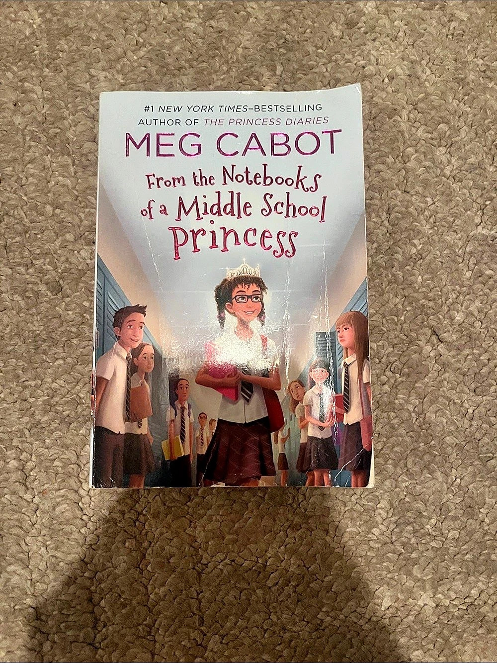 The Notebooks of a Middle School Princess Paperback Book